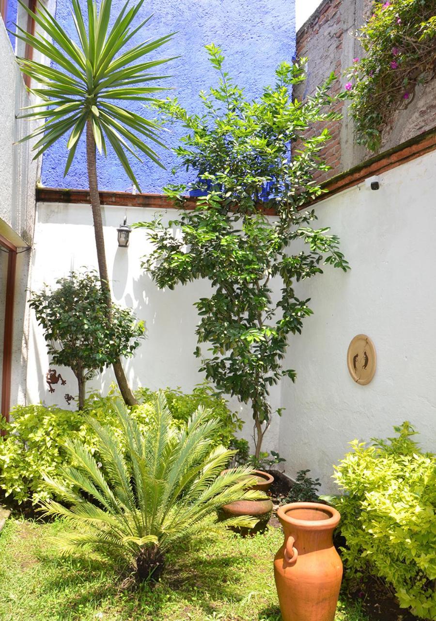 Casa Coyoacán Città del Messico Esterno foto